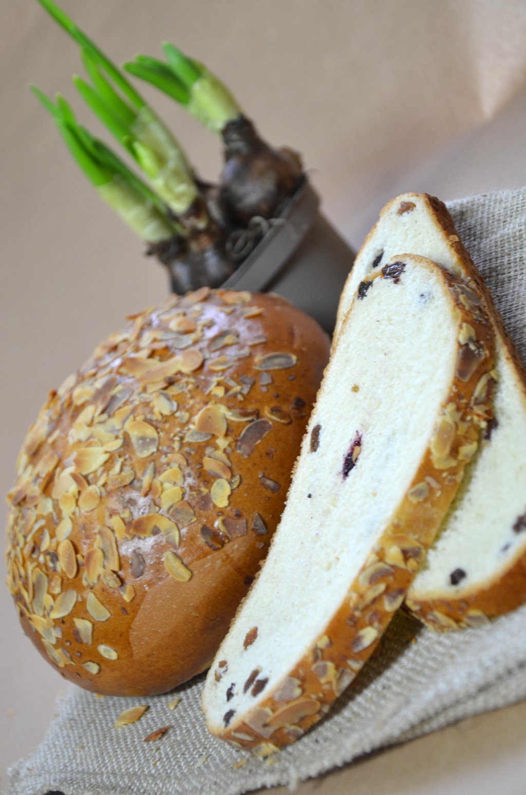 Mazanec s rozinkami sypaný mandlemi bal.